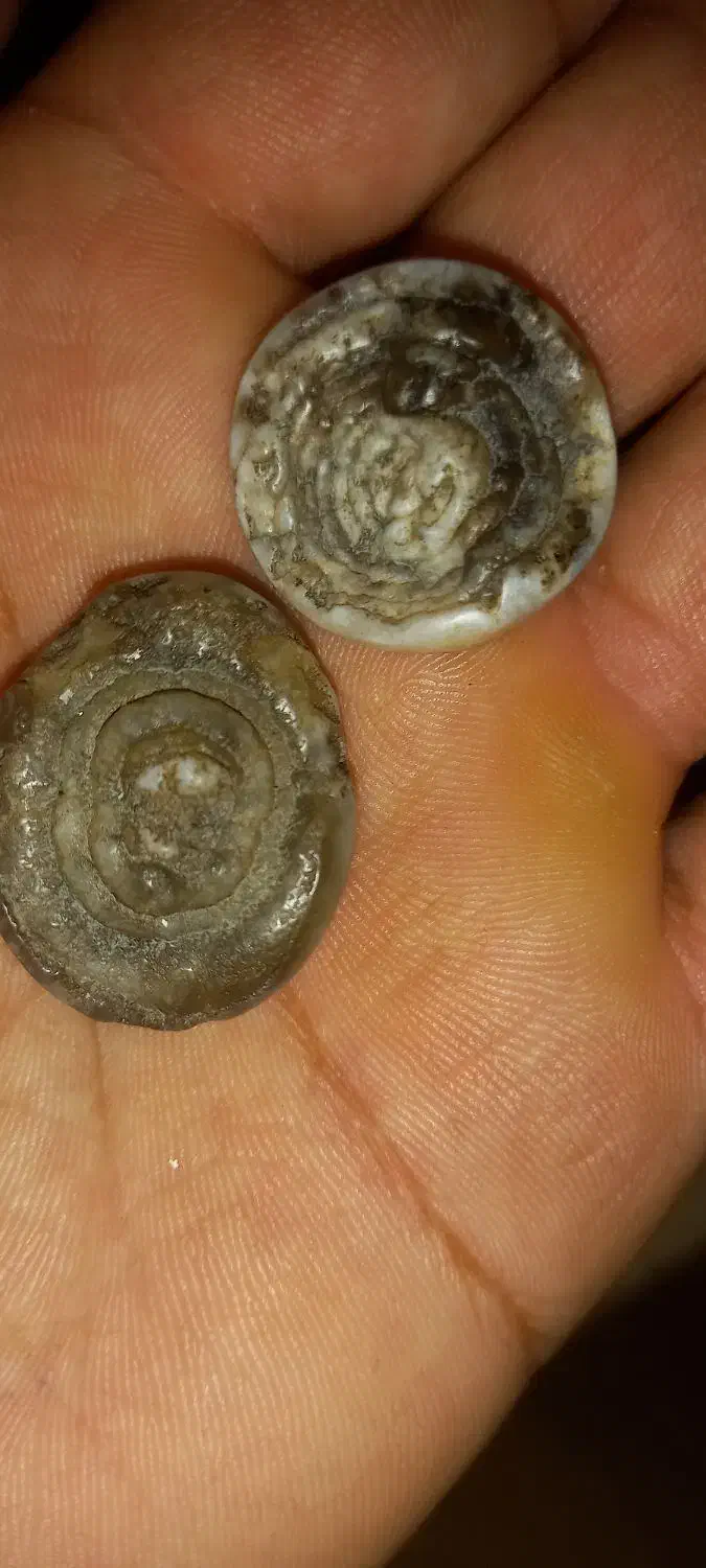 مهره وتسبیح|جواهرات|اهواز, منبع اب|دیوار