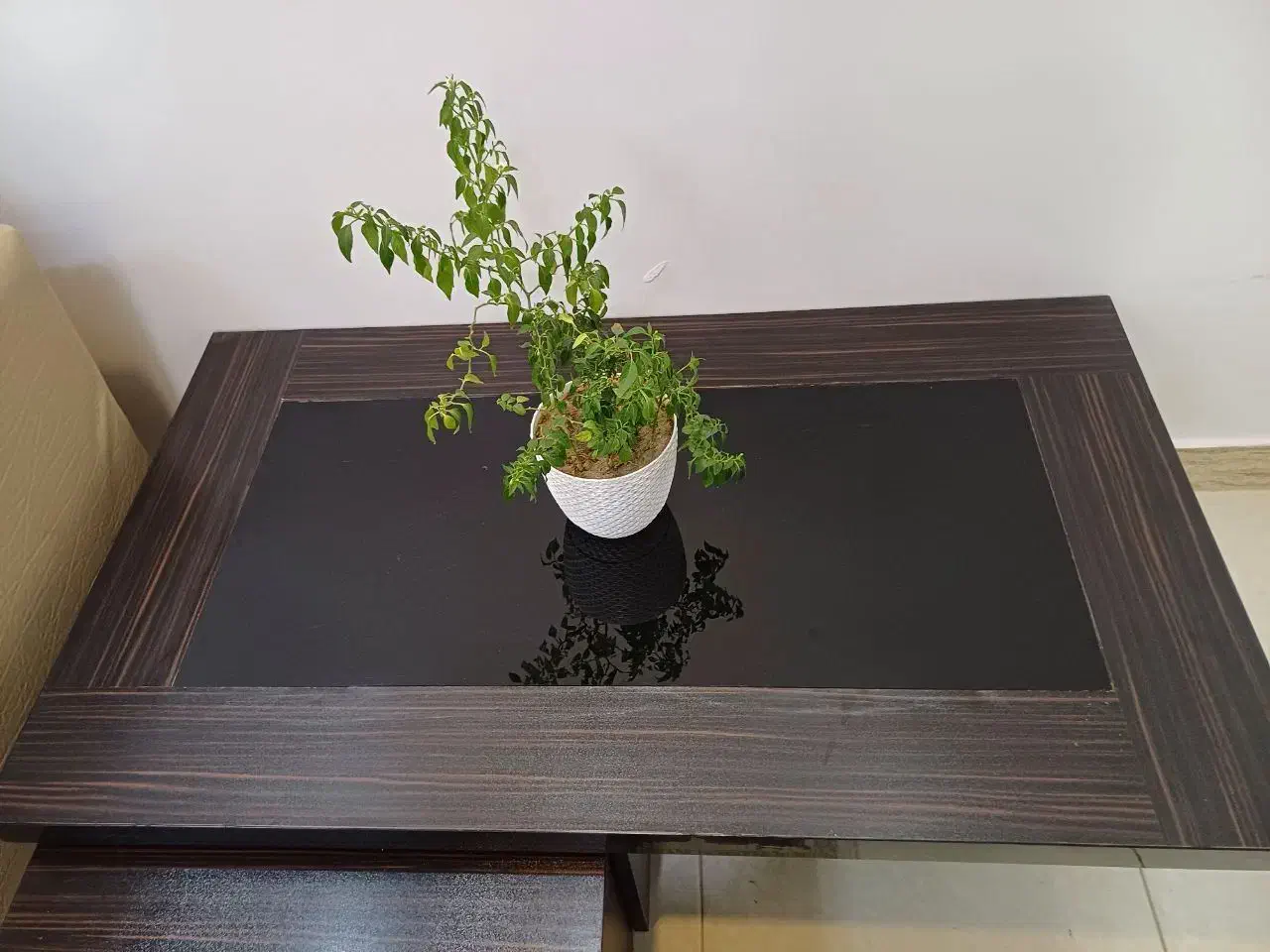 مبلمان هفت نفره|مبلمان خانگی و میز عسلی|مهاباد (آذربایجان غربی), |دیوار