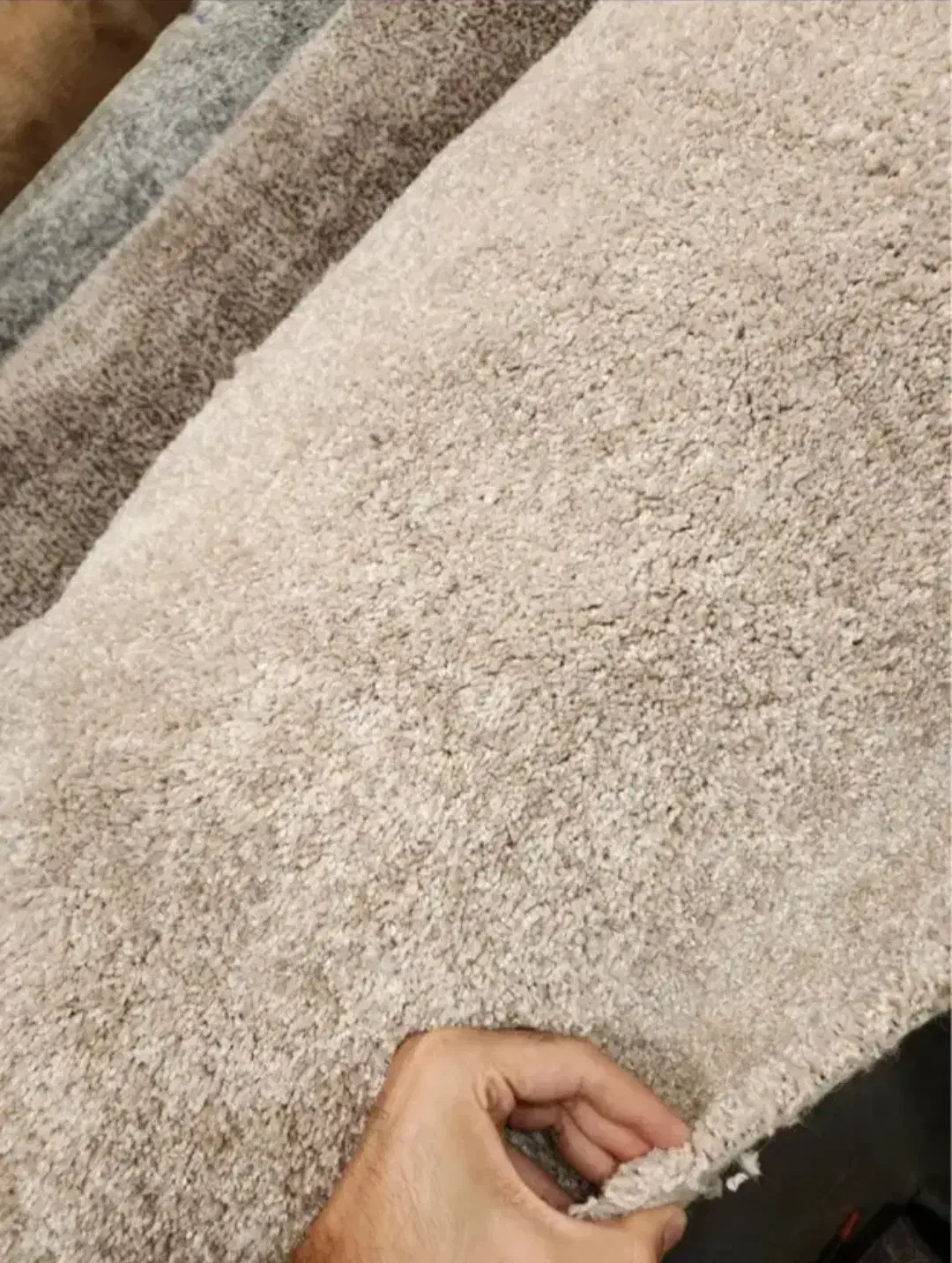 پالازموکت پرزبلند موکت تندیس ۲۱۲۸|موکت|قم, شاه ابراهیم|دیوار