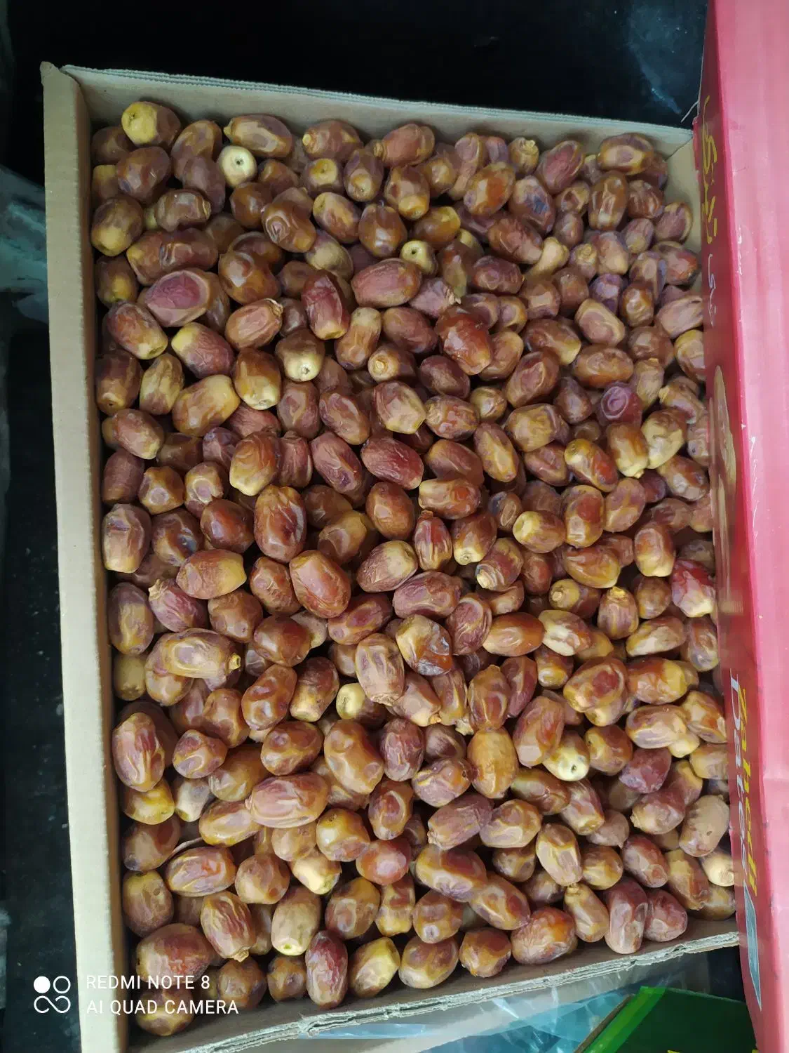 پخش عمده و خرده خرما|عمده‌فروشی|گرگان, |دیوار