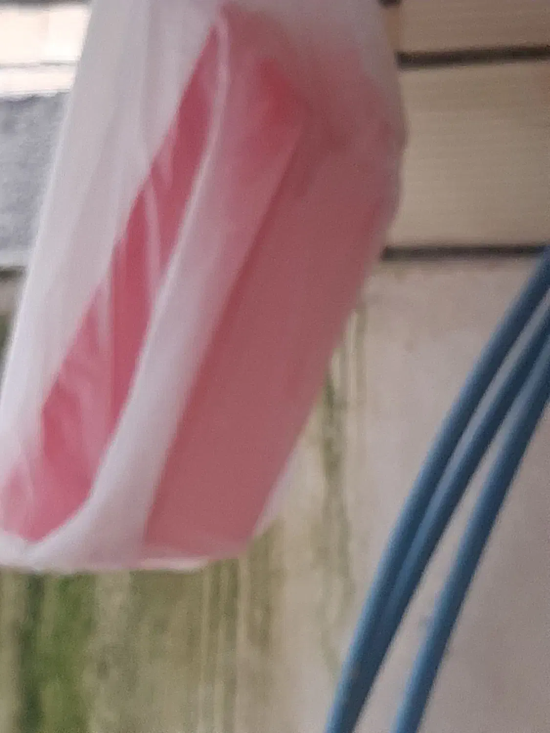 قفس پرنده|لوازم جانبی حیوانات|رشت, پیرکلاچای|دیوار