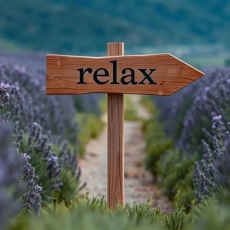 روغن ماساژ تخصصی ریلکسی درمانی+بادکش گرم|آرایشی، بهداشتی، درمانی|شیراز, گلستان|دیوار