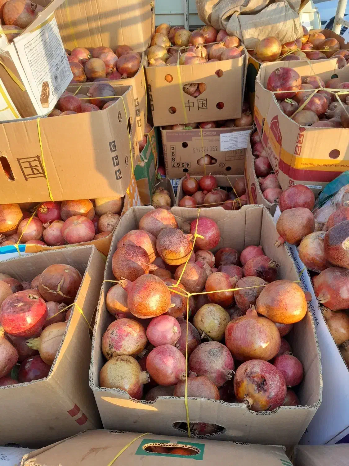 انار ربی|خوردنی و آشامیدنی|آباده, |دیوار