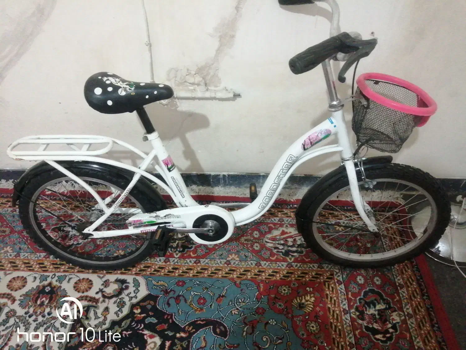 دوچرخه|دوچرخه، اسکیت، اسکوتر|شیراز, شهرک مفتح|دیوار