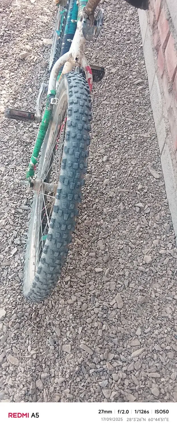 دوچرخه 26|دوچرخه، اسکیت، اسکوتر|خاش, |دیوار