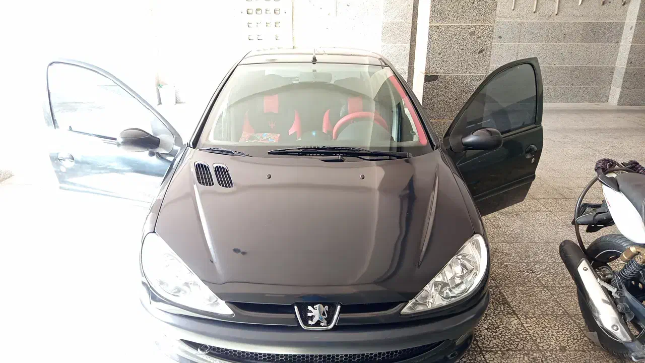 ۲۰۶ تیپ۵ مدل ۹۴|خودرو سواری و وانت|تهران, شهید فکوری|دیوار