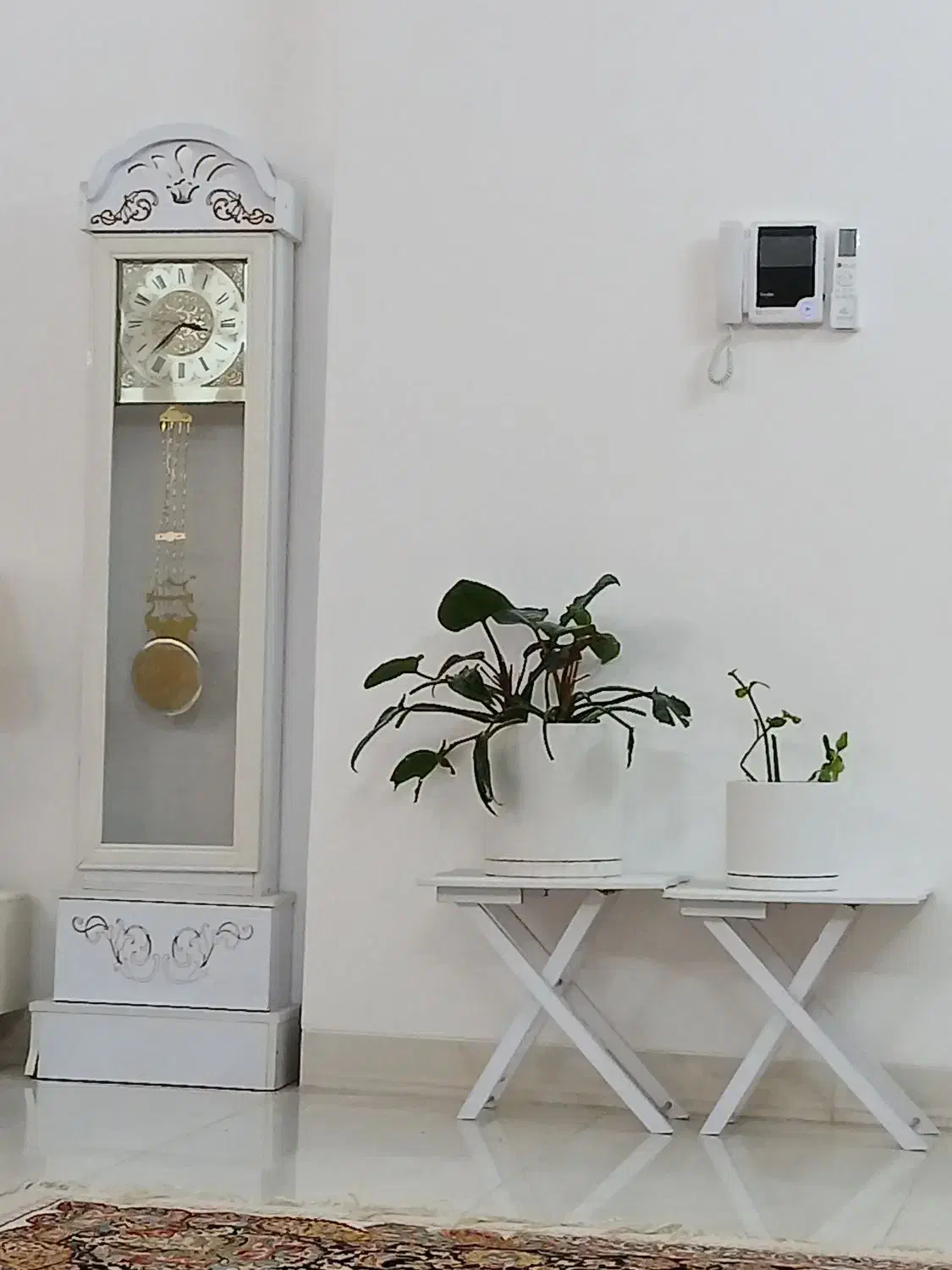 فروش فوری ساعت|ساعت|میبد, |دیوار