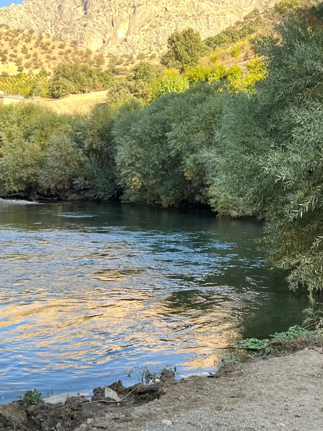 بار برای تهران و شمال|خدمات حمل و نقل|مریوان, |دیوار