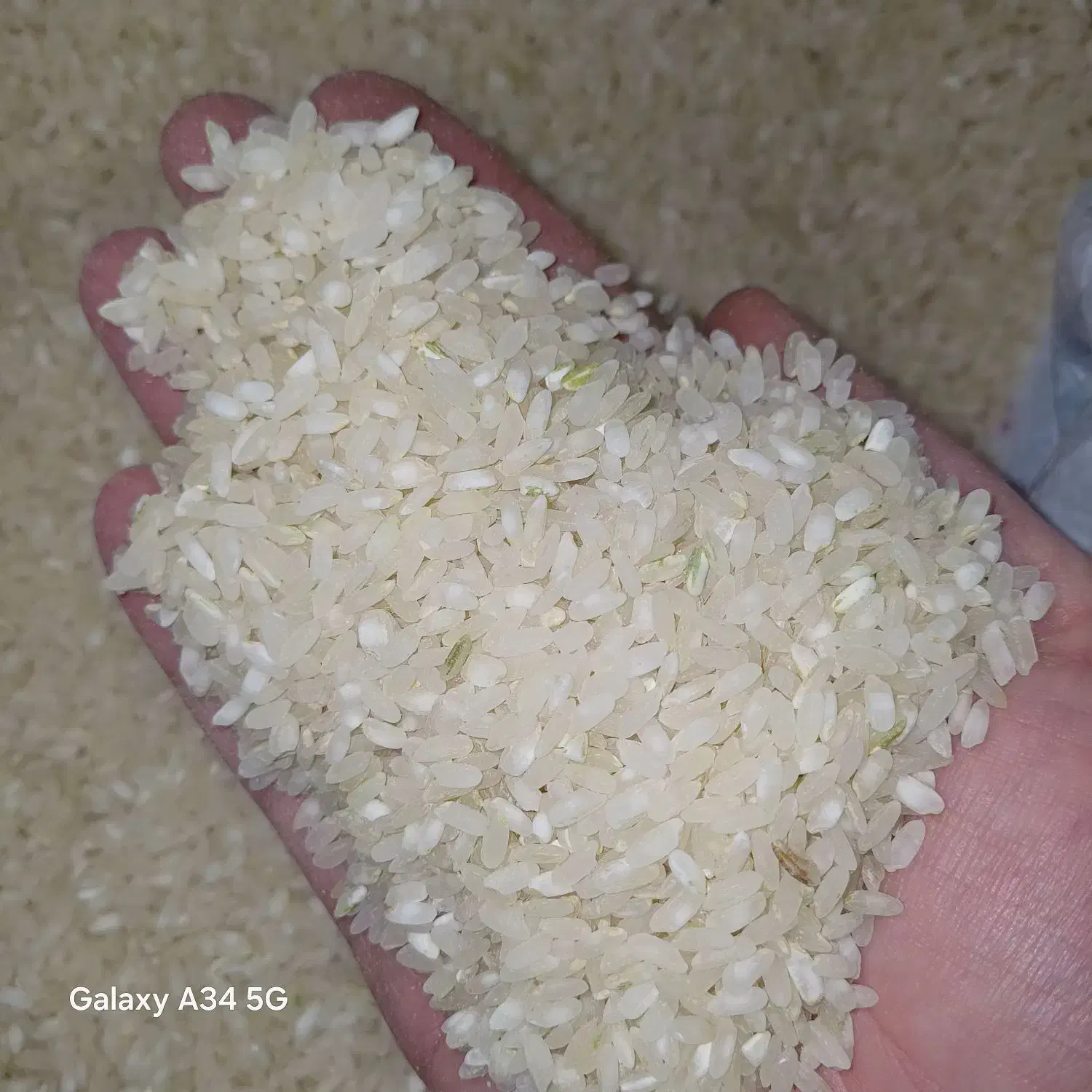 برنج کامفیروزی درجه یک|خوردنی و آشامیدنی|کر, |دیوار