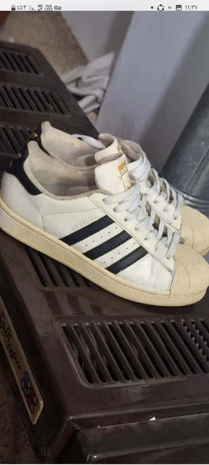 کتونی|کیف، کفش، کمربند|قرچک, میرزائی شمالی|دیوار