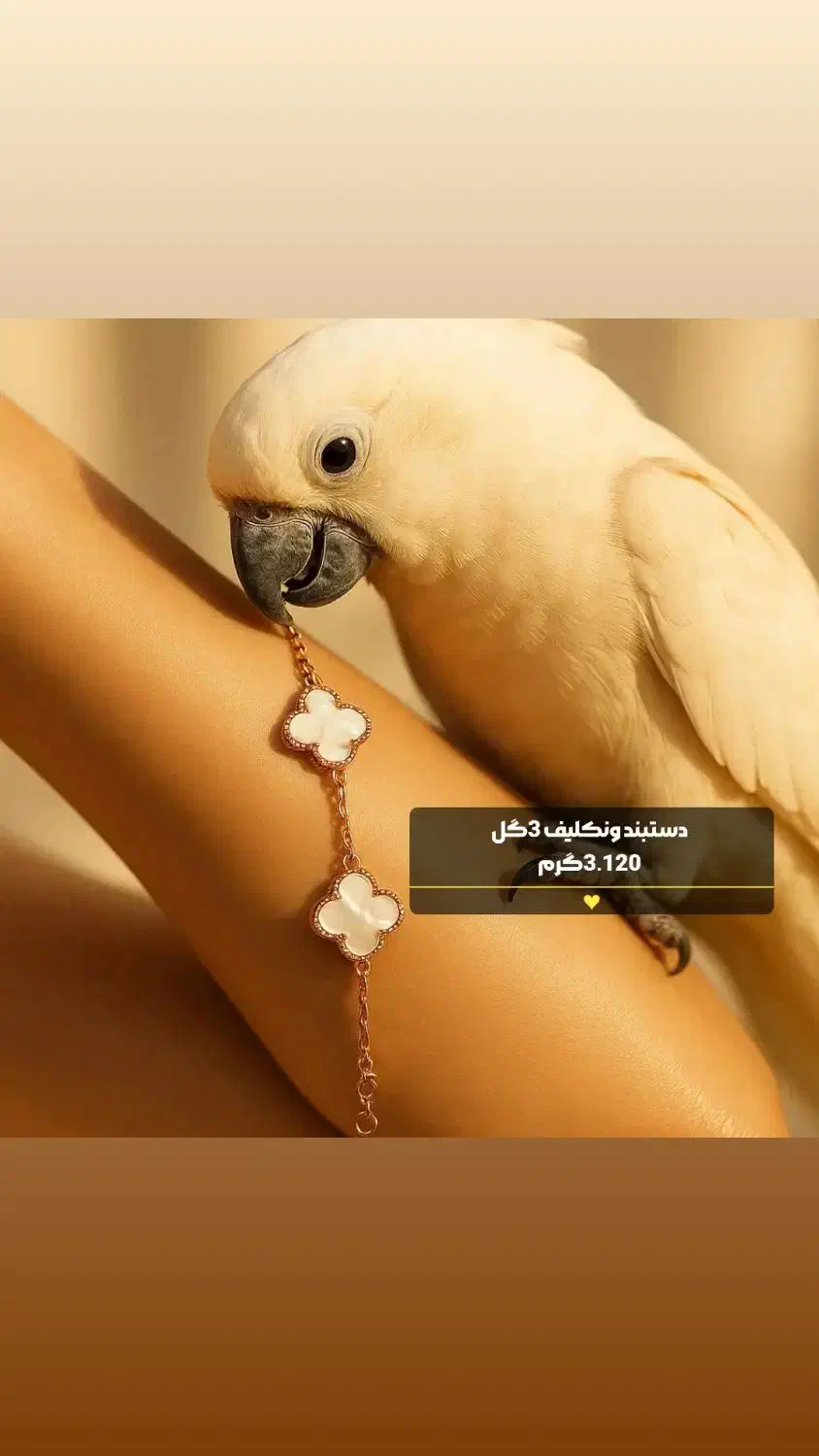 دستبندهای خوش وزن و کم اجرت طــلای علی|جواهرات|شوش, |دیوار