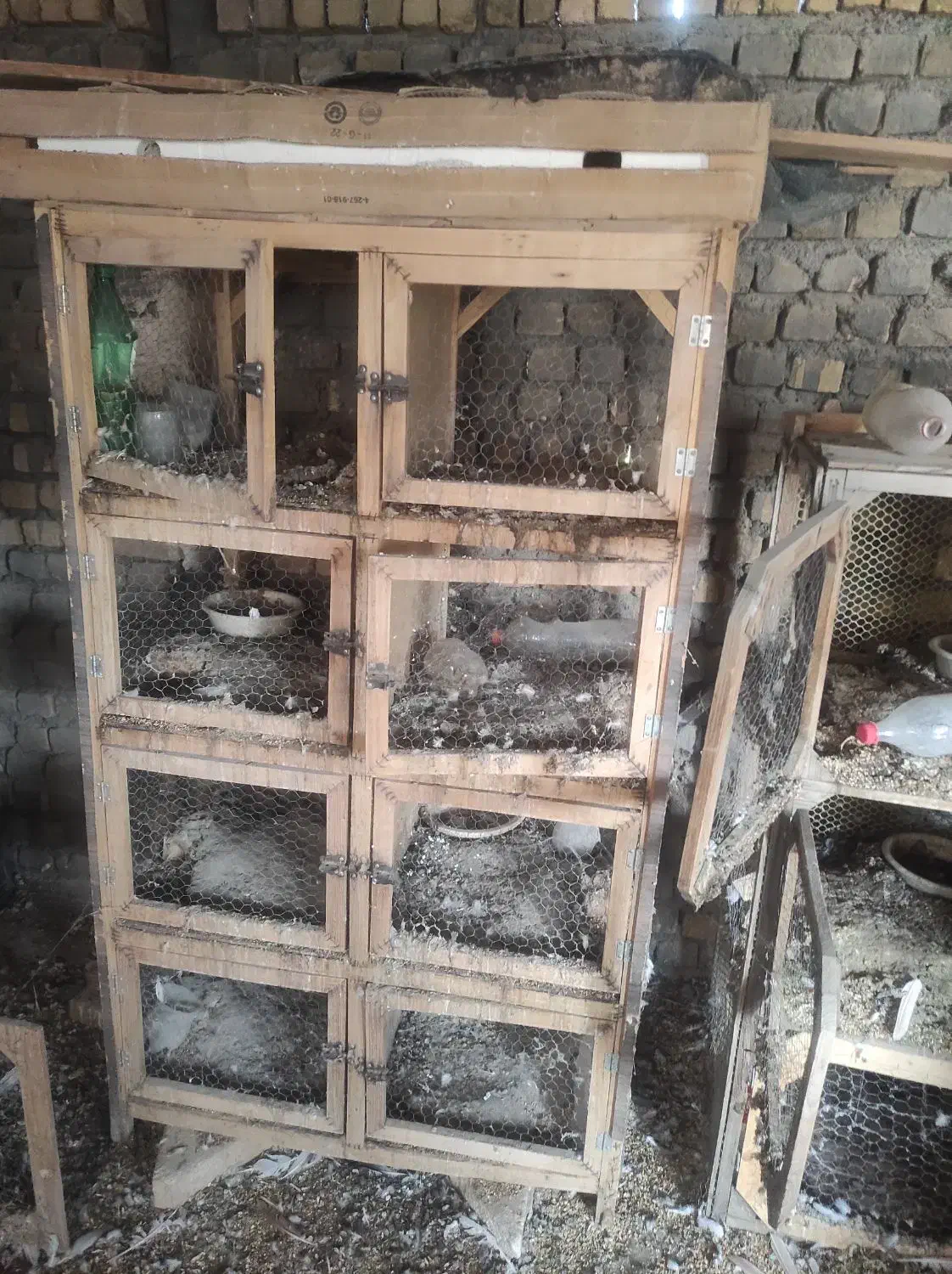 جفتگاه چوبی کبوتر|لوازم جانبی حیوانات|طرقبه, |دیوار