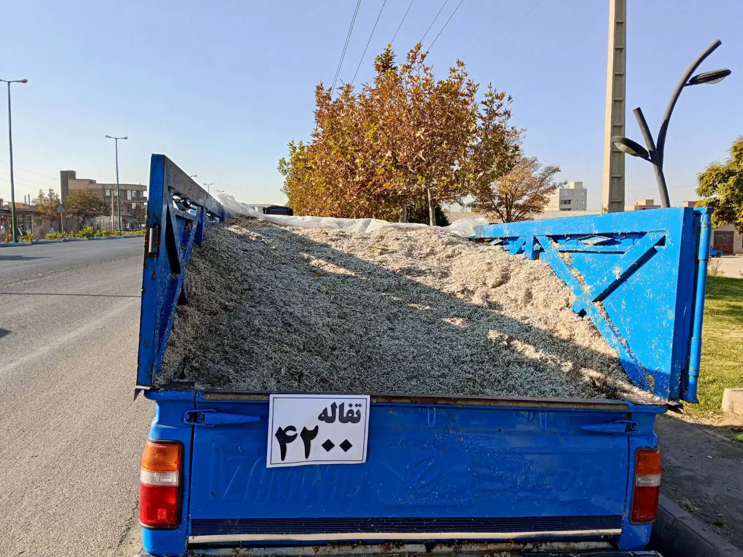 تفاله چغندر|لوازم جانبی حیوانات|میاندوآب, |دیوار