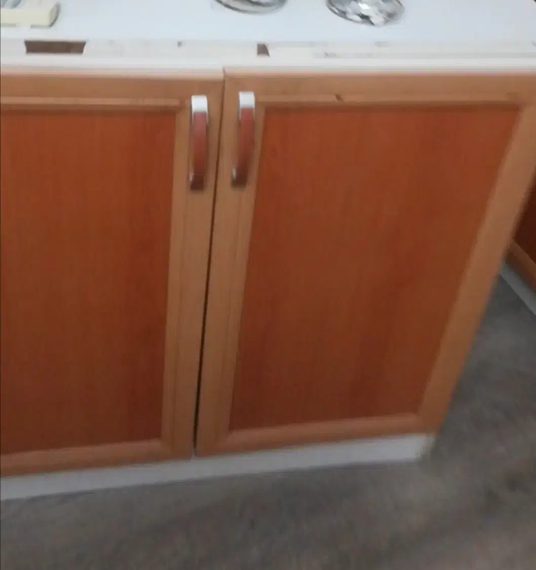 آشپزخانه|حراج|رشت, کاکتوس|دیوار