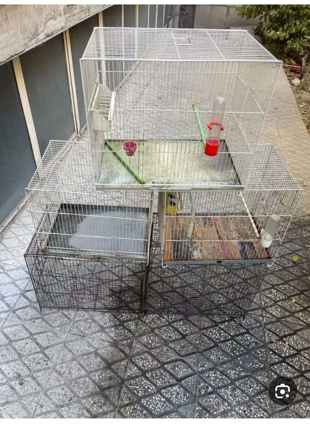 قفس|لوازم جانبی حیوانات|منجیل, |دیوار