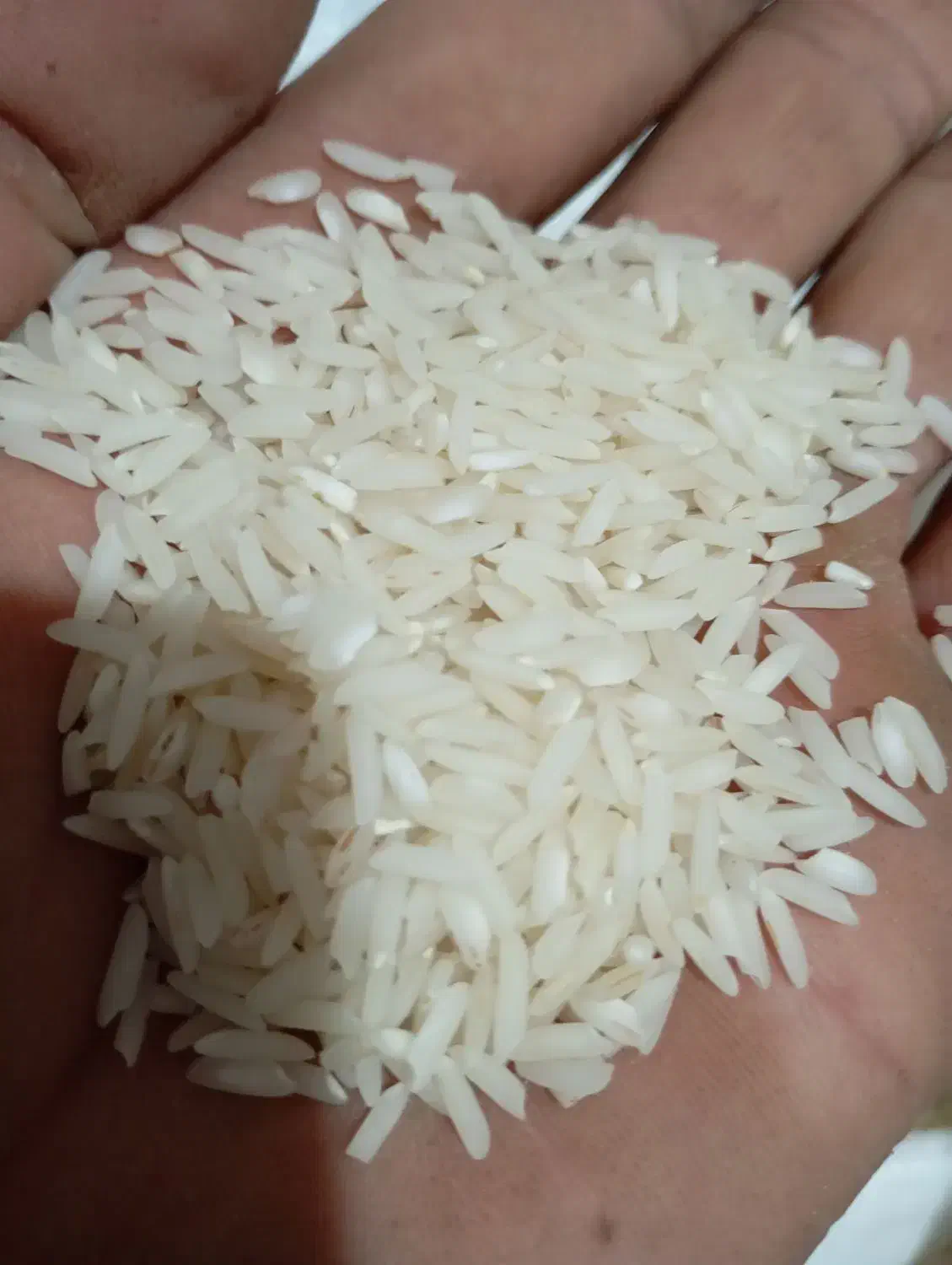 برنج هاشمی دره رود|خوردنی و آشامیدنی|دره رود, |دیوار