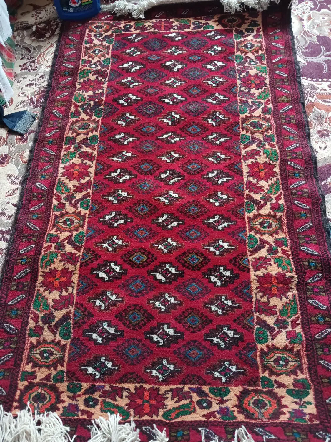 فروشی|فرش|تایباد, |دیوار