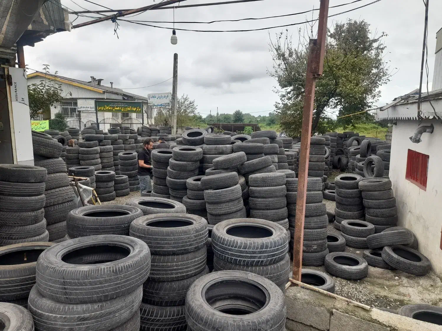 لاستیک سواری سایز ۱۳تا ۲۱و لاستیک نیسان|عمدهفروشی|تالش, هشتپر|دیوار