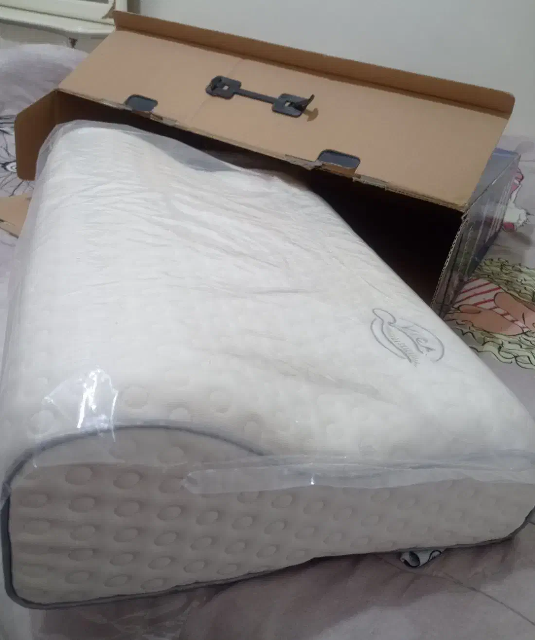 بالشت طبی|رختخواب، بالش، پتو|تبریز, |دیوار