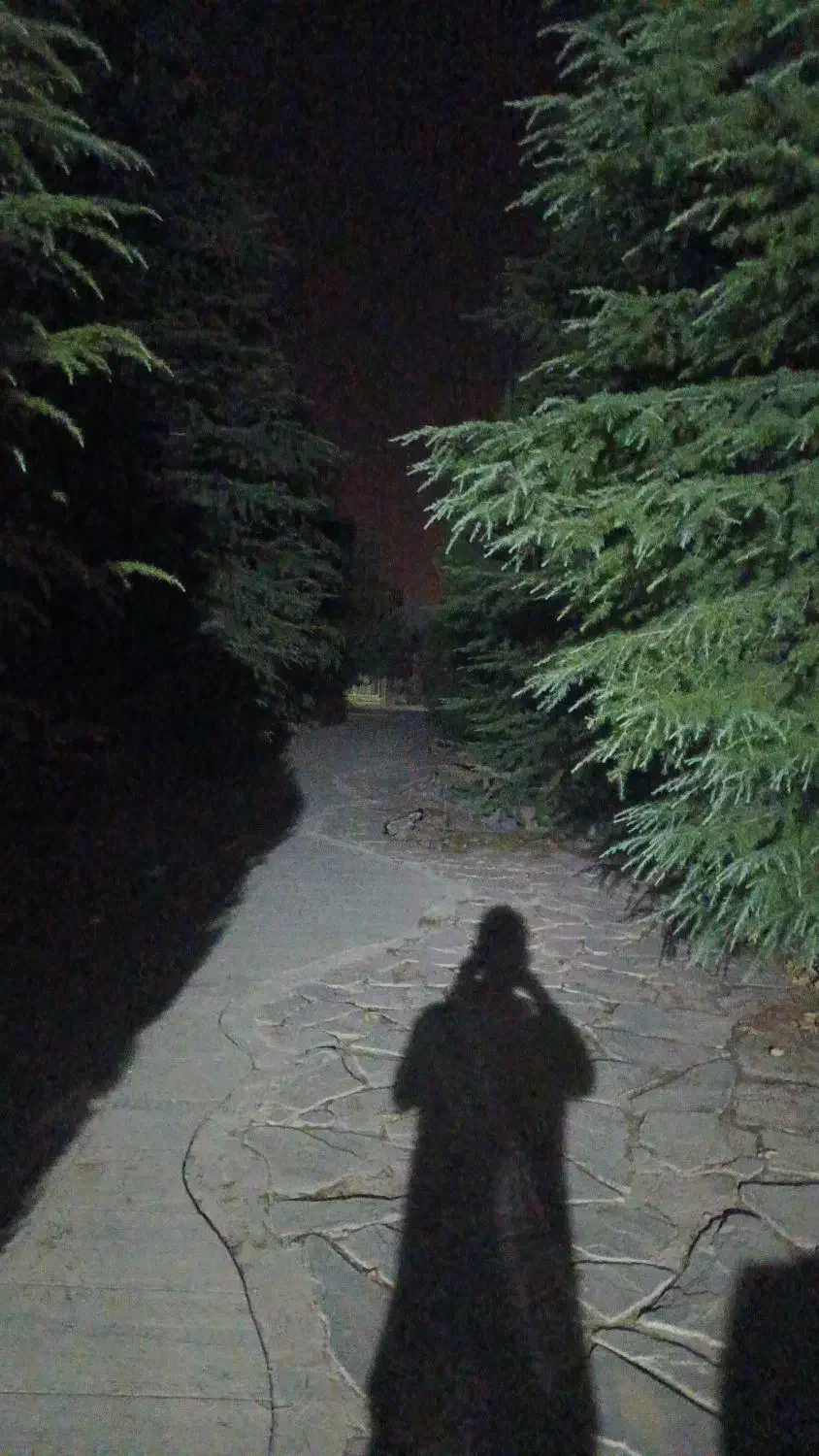 اجاره باغ تالار در شهرک گلستان شمالی|اجارهٔ دفتر صنعتی، کشاورزی، تجاری|شیراز, شهرک گلستان شمالی|دیوار