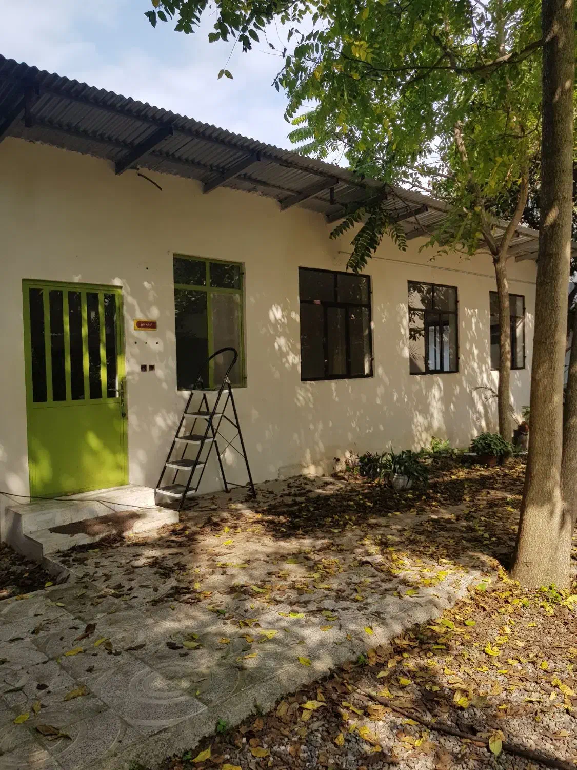 اجاره ملک تجاری/ بر خیابان جمهوری|اجارهٔ دفتر صنعتی، کشاورزی، تجاری|تنکابن, |دیوار