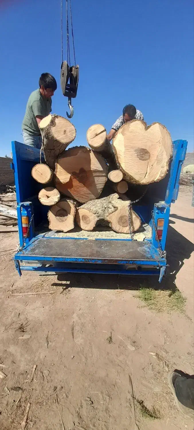 خریدچوب|خدمات باغبانی و درختکاری|چناران, |دیوار