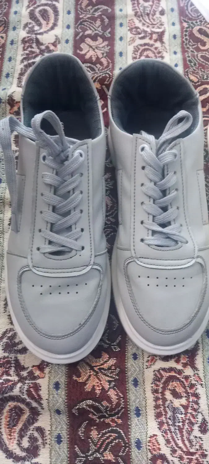 دو جفت کفش|کیف، کفش، کمربند|نهاوند, |دیوار