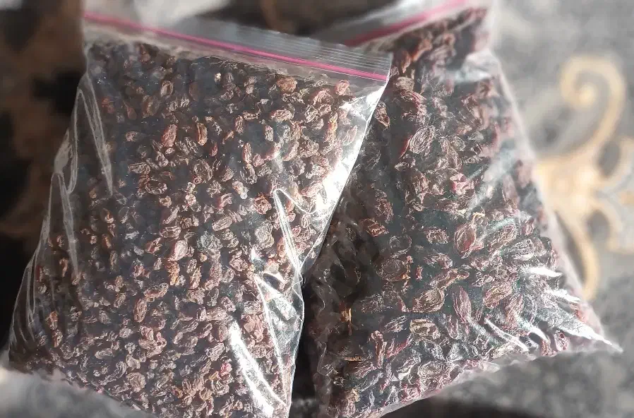 کشمش بیدانه|خوردنی و آشامیدنی|محمدیه-قزوین, |دیوار