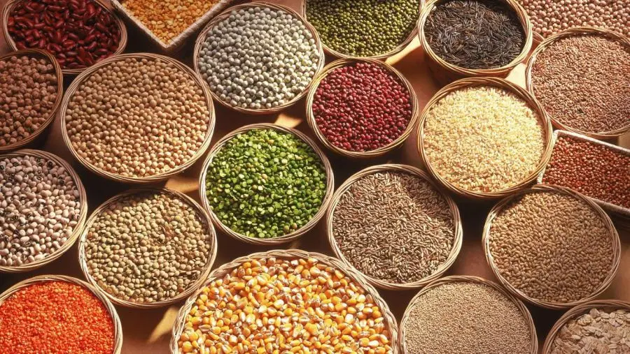 فروش بذر انواع سبزی ،ترب|گل و گیاه طبیعی|رشت, حومه رشت|دیوار