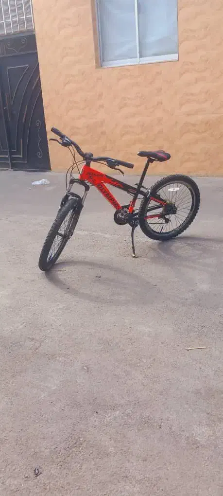 دوچرخه 24 المپیا|دوچرخه، اسکیت، اسکوتر|رشت, جانبازان|دیوار