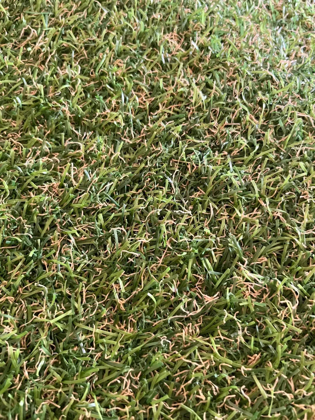 چمن مصنوعی|گل مصنوعی|اصفهان, جلفا|دیوار