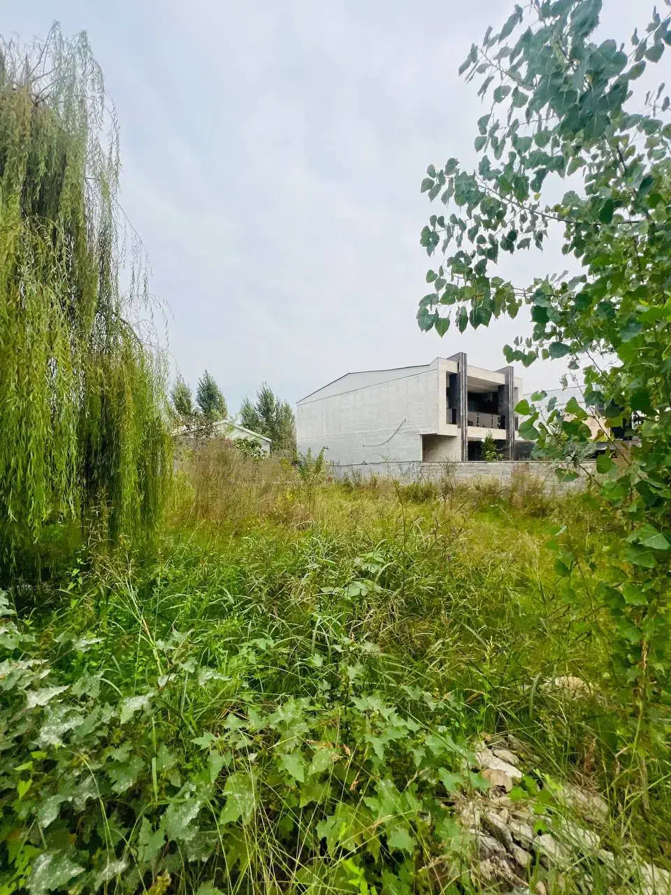 صفرجنگل/۲۰۰متری/انشعابات سرملک/اقساط بلندمدت|فروش زمین و ملک کلنگی|چمستان, |دیوار