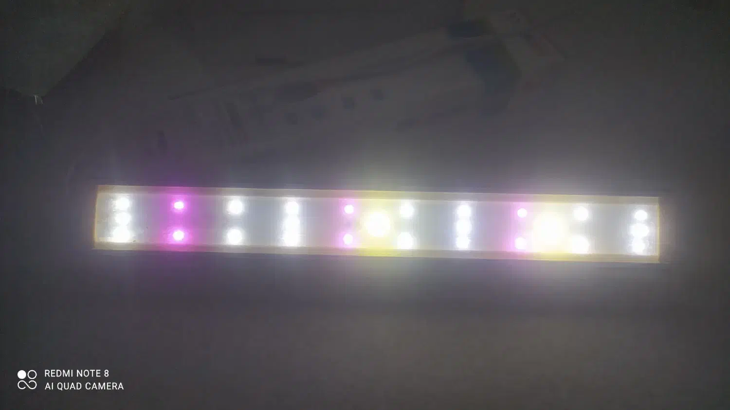 آکواریوم شیشه خم شرکتی|ماهی|قم, گلزار|دیوار