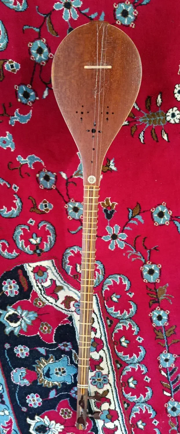 سه تار|سازهای سنتی|سبزوار, باهنر|دیوار