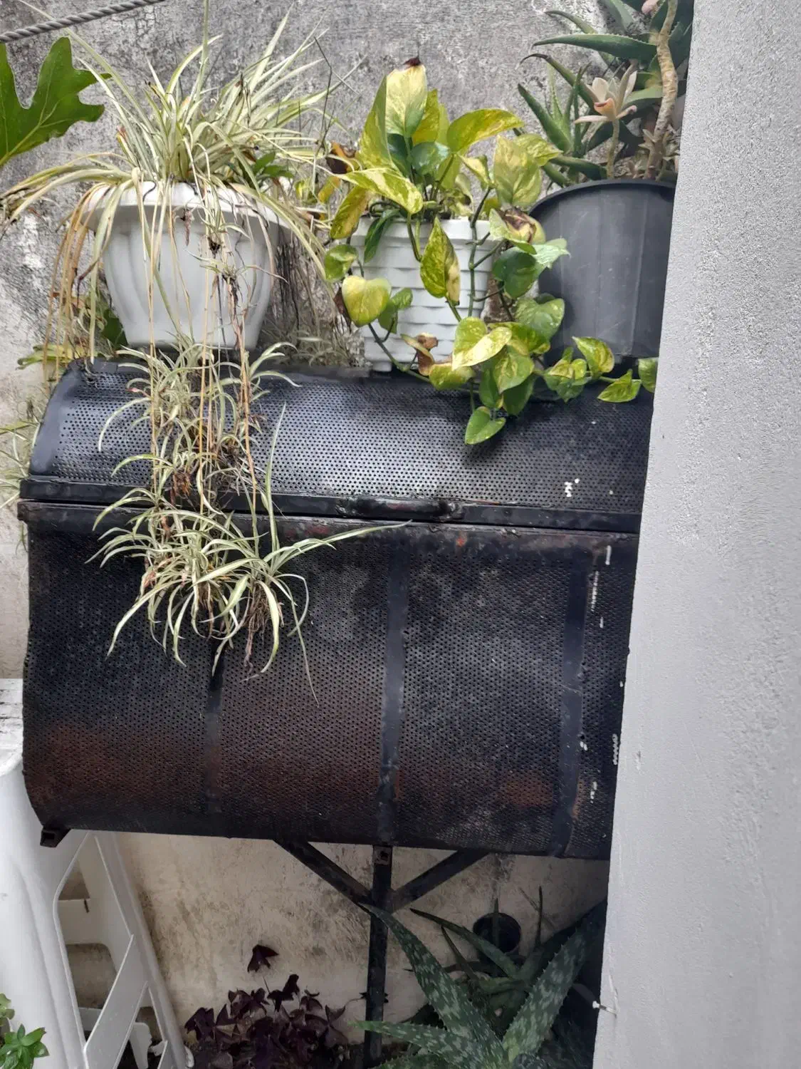 سطل یا سبد زباله|لوازم نظافت|آمل, |دیوار