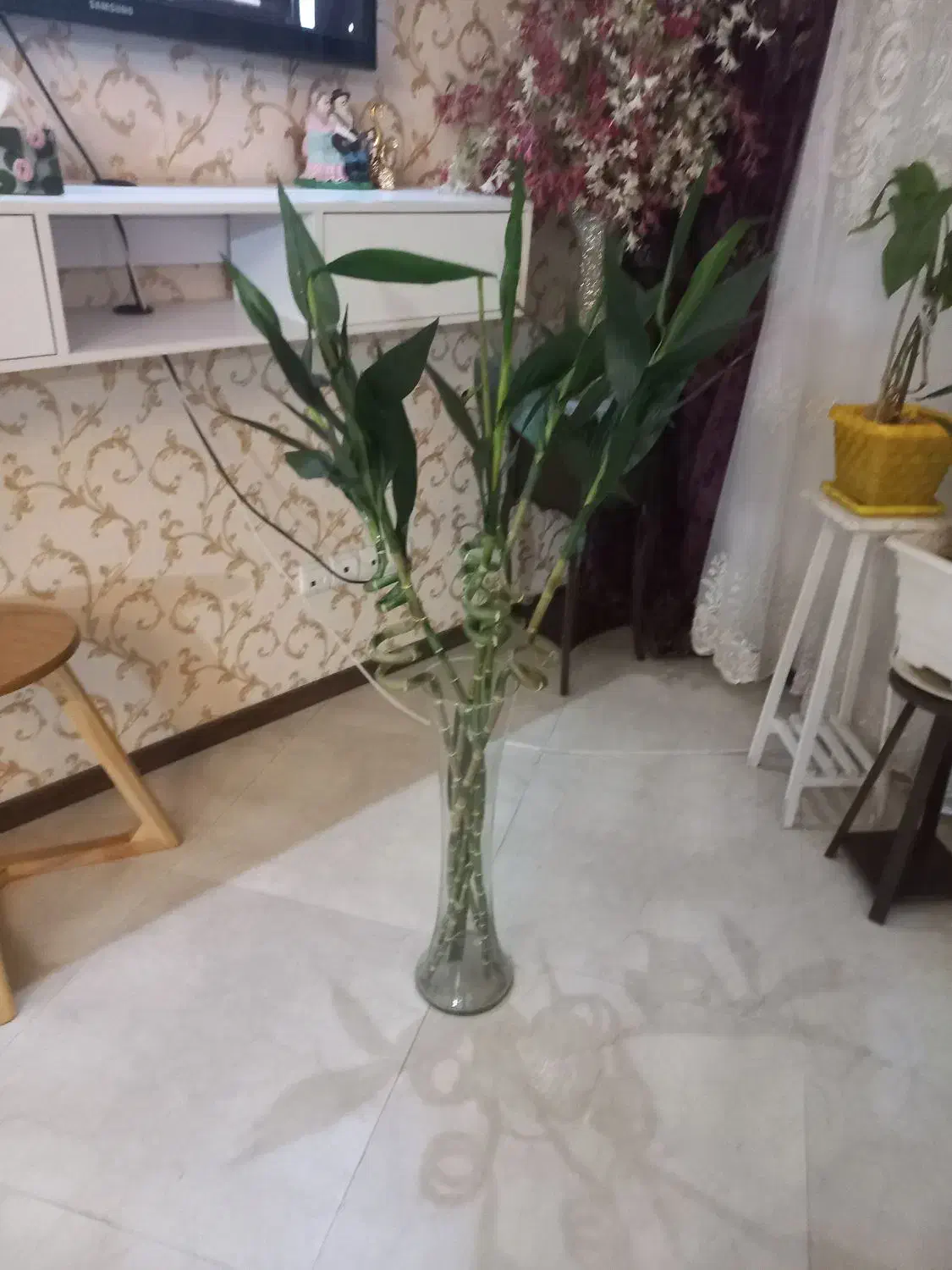 گل بامبو۵عددبا گلدان|گل مصنوعی|تهران, قاسمآباد|دیوار