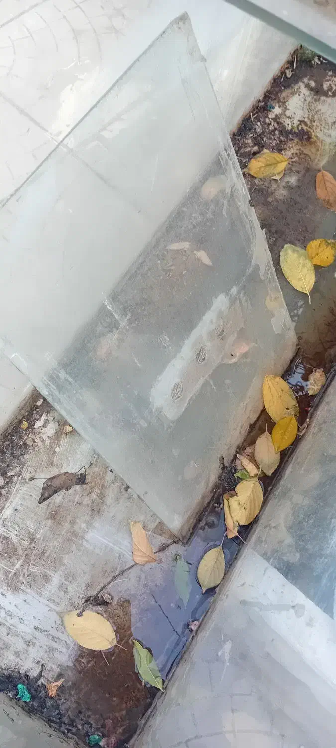 باربند پژو ۴۰۵ آردی روا و اکواریوم با لوازم و ماهی|ماهی|تبریز, |دیوار