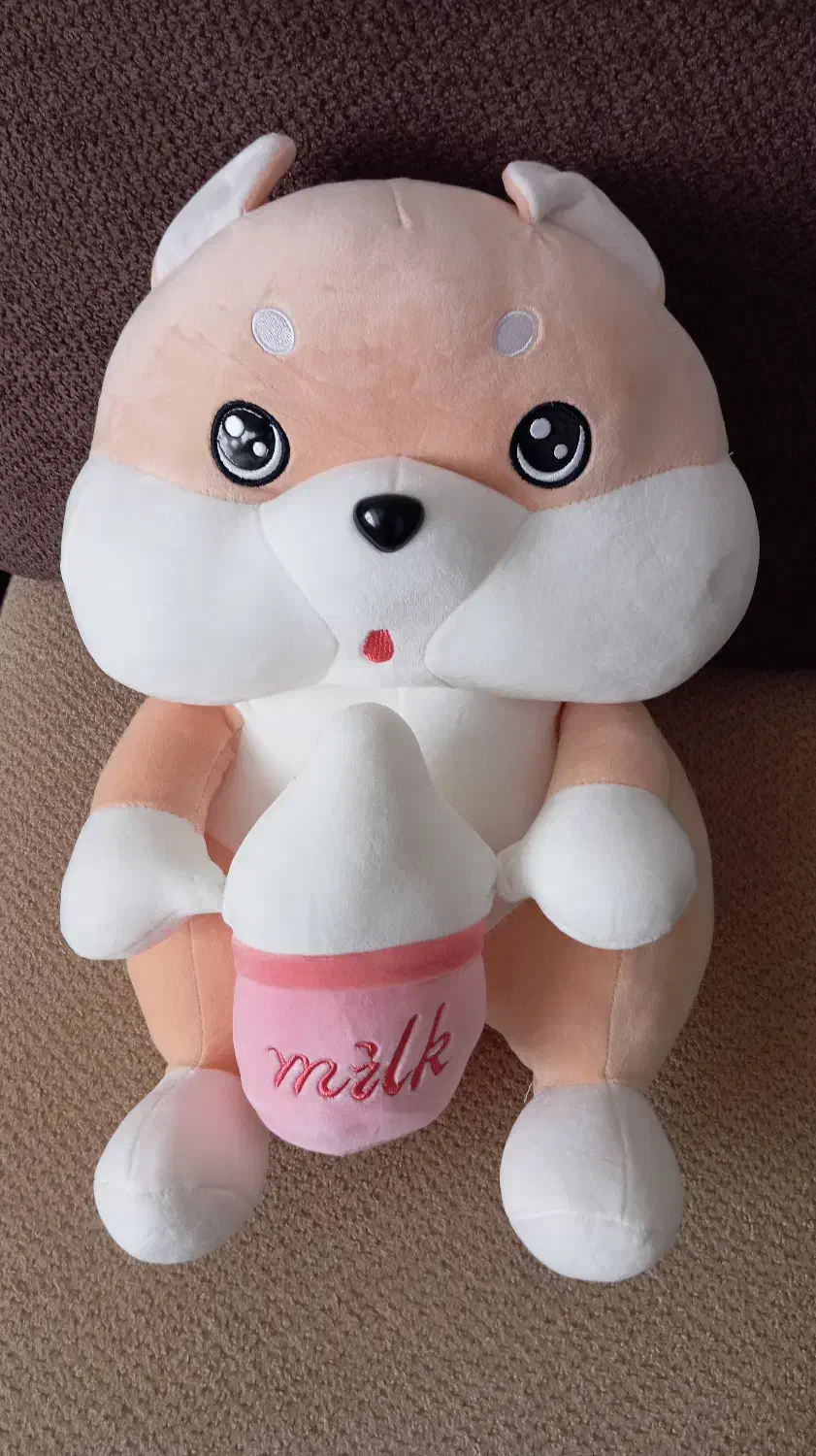 عروسک کیسه دار خارجی|اسباب‌‌بازی|صدرا-فارس, فاز ۱|دیوار