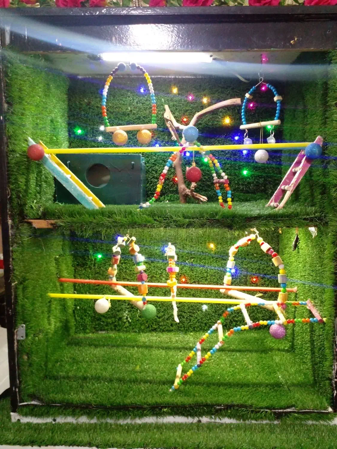 سلام قفس شیک خوشکل دوطبقه|لوازم جانبی حیوانات|مرند, |دیوار