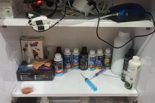 اکواریم پلنت|ماهی|دزفول, |دیوار