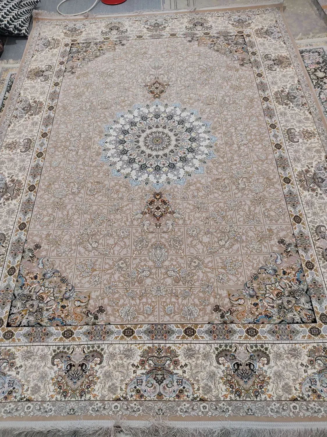 فرش نو نو فوری|فرش|ایلام, |دیوار