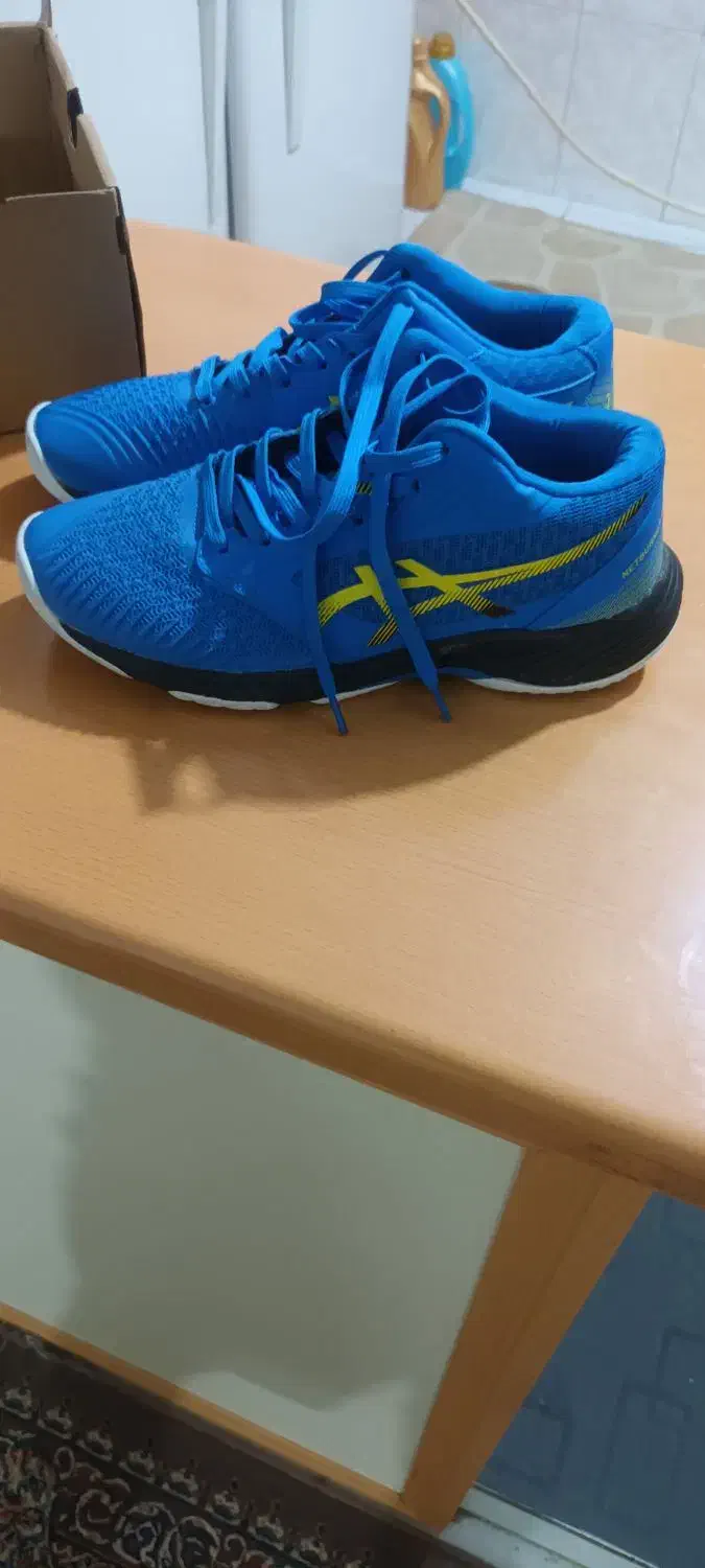 کتونی والیبال آسیکس|تجهیزات ورزشی|پاکدشت, پاکدشت (مامازند)|دیوار