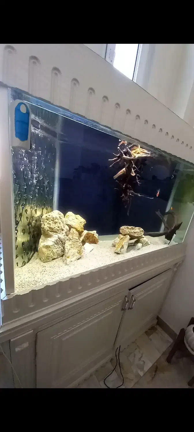 فروش چکی اکواریوم سامپ دار کمد دار|ماهی|تبریز, |دیوار