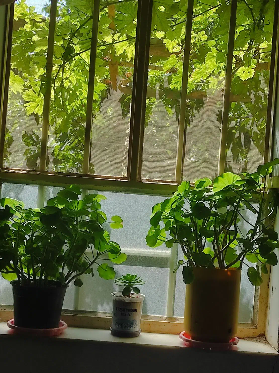 بلوار۱۷شهریور پشت شرکت گاز|اجارهٔ آپارتمان|سمنان, |دیوار