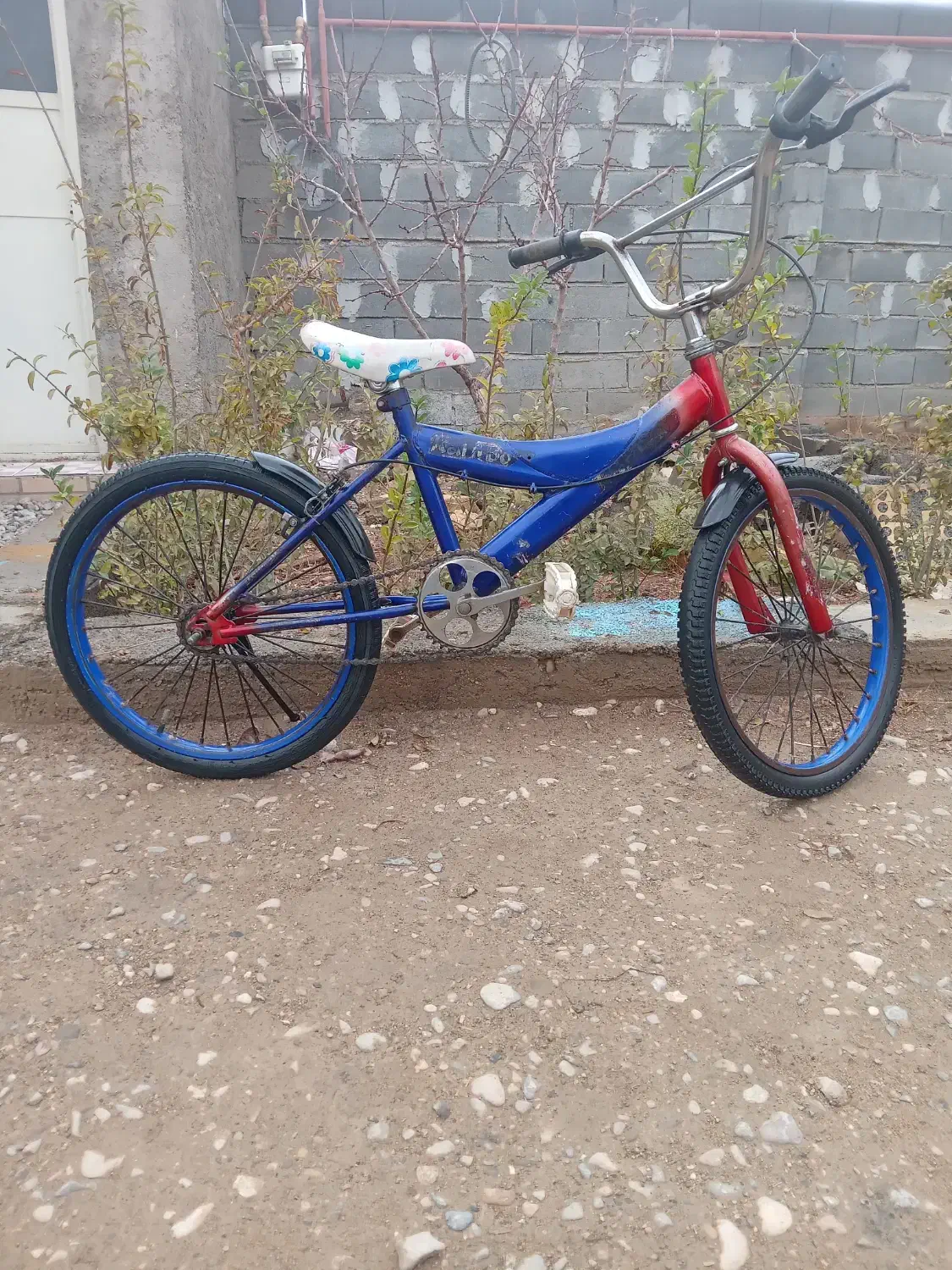 دوچرخه ۲۰|دوچرخه، اسکیت، اسکوتر|اسفراین, |دیوار