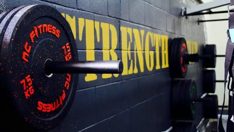 مربی بدنسازی با مدرک بین المللی|خدمات آموزشی|تهران, سعادت‌آباد|دیوار