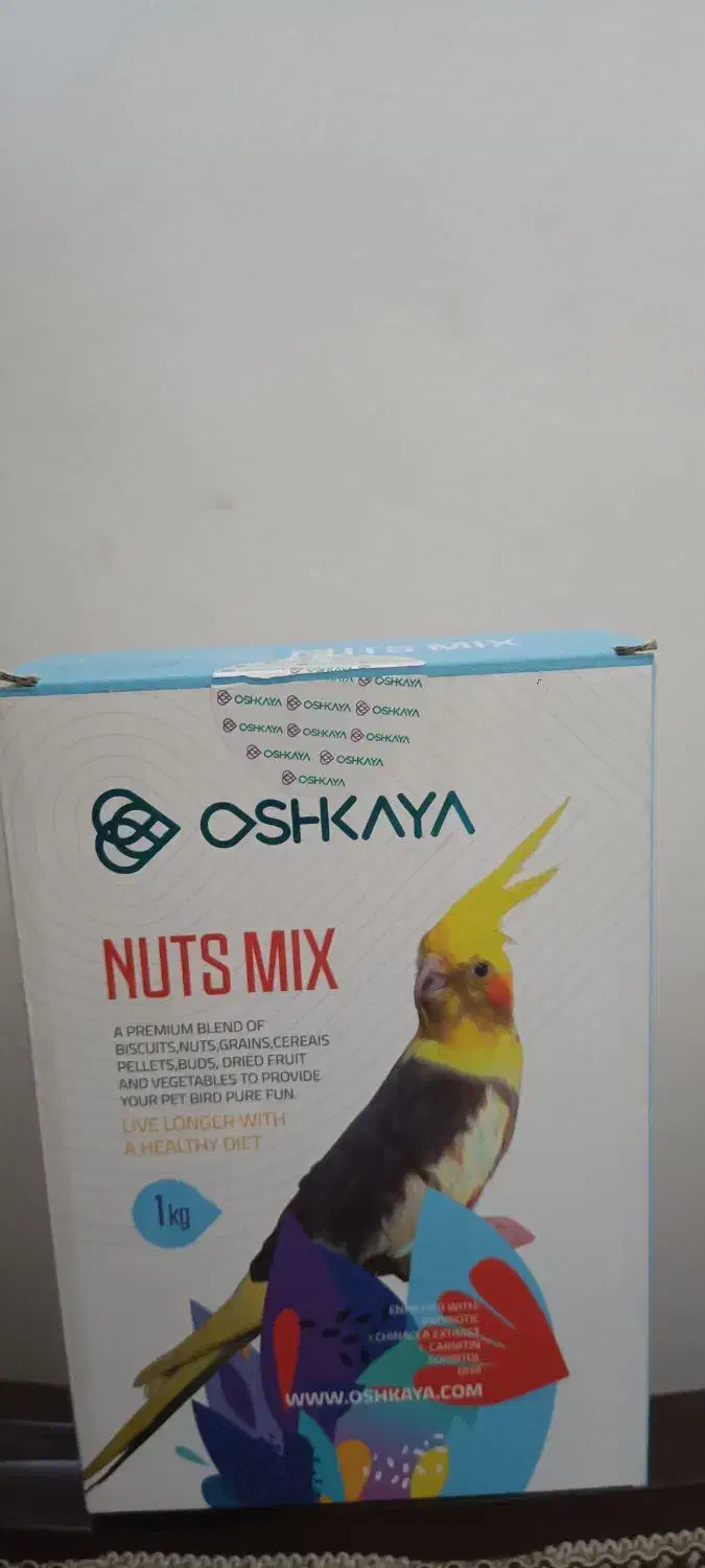 عروس هلندی|پرنده|تهران, درب دوم|دیوار