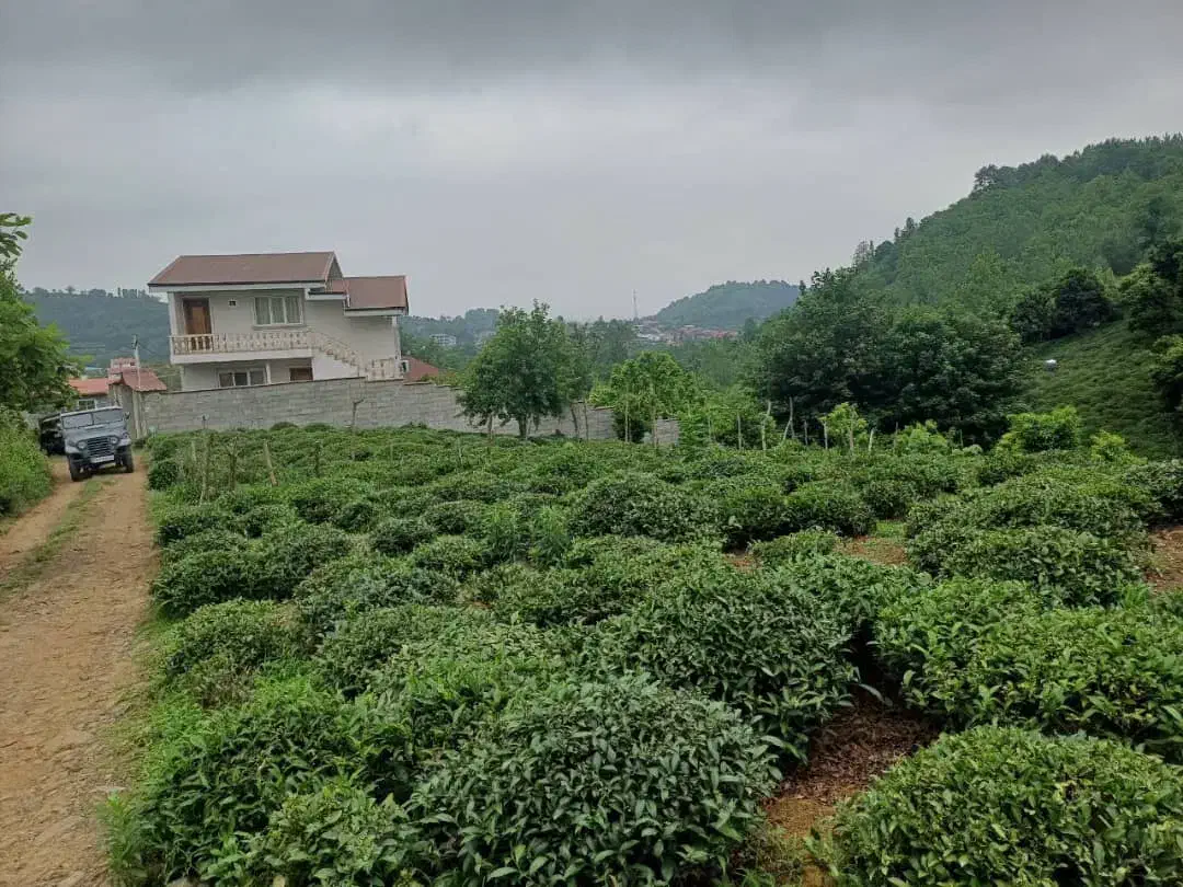 تمیز|فروش زمین و ملک کلنگی|رانکوه, |دیوار