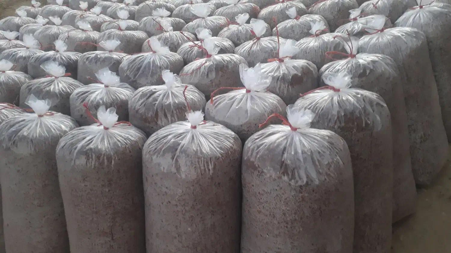 فروش تفاله سیب و چغندر با کیفیت عالی در بسته بندی|لوازم جانبی حیوانات|میاندوآب, |دیوار