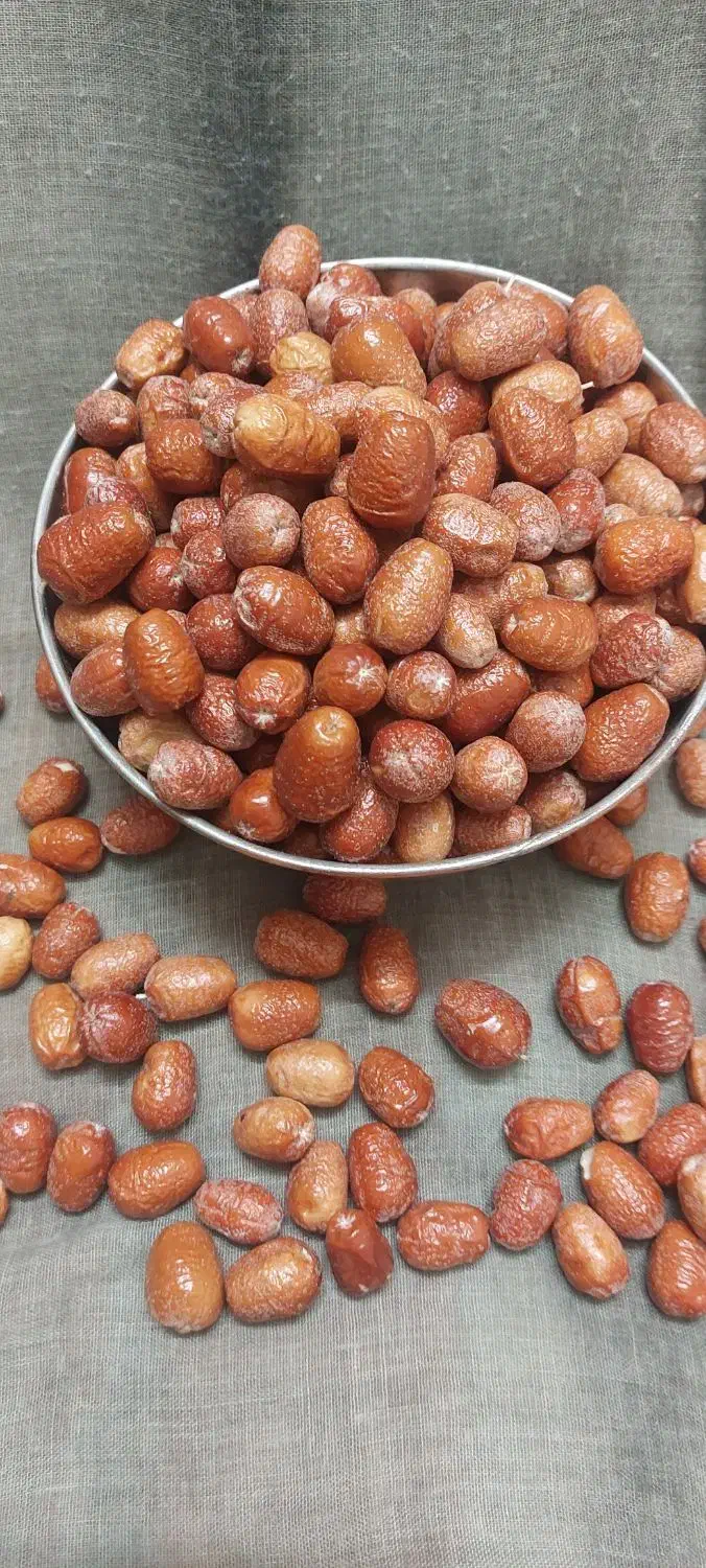 سنجد تازه|خوردنی و آشامیدنی|تهران, آهنگ|دیوار